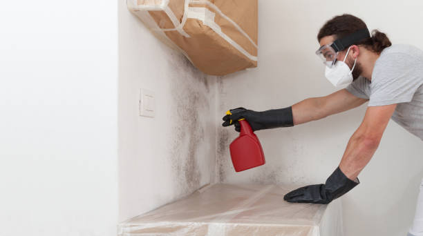 Professional Attic Mold Remediation technician working in Oxford, GA