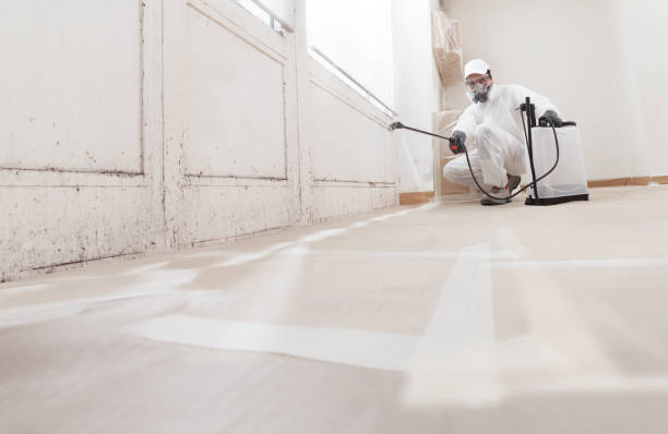 24/7 Emergency Attic Mold Remediation experts in Oxford, GA