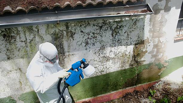 Top rated local Attic Mold Remediation specialists in Oxford, GA